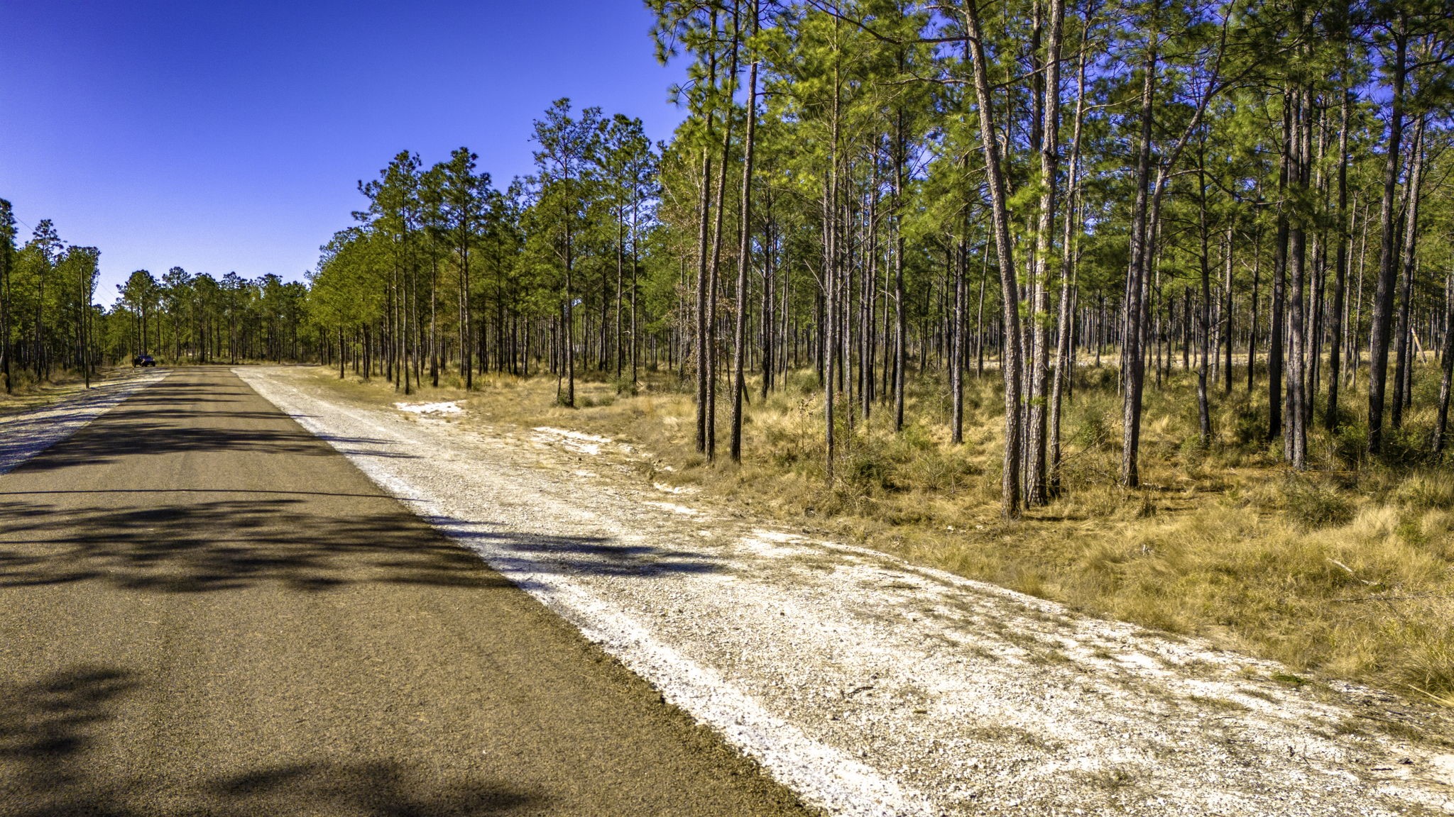412 Tumbleweed Ranch Road Onalaska, TX 77360 - Photo 8 of 17