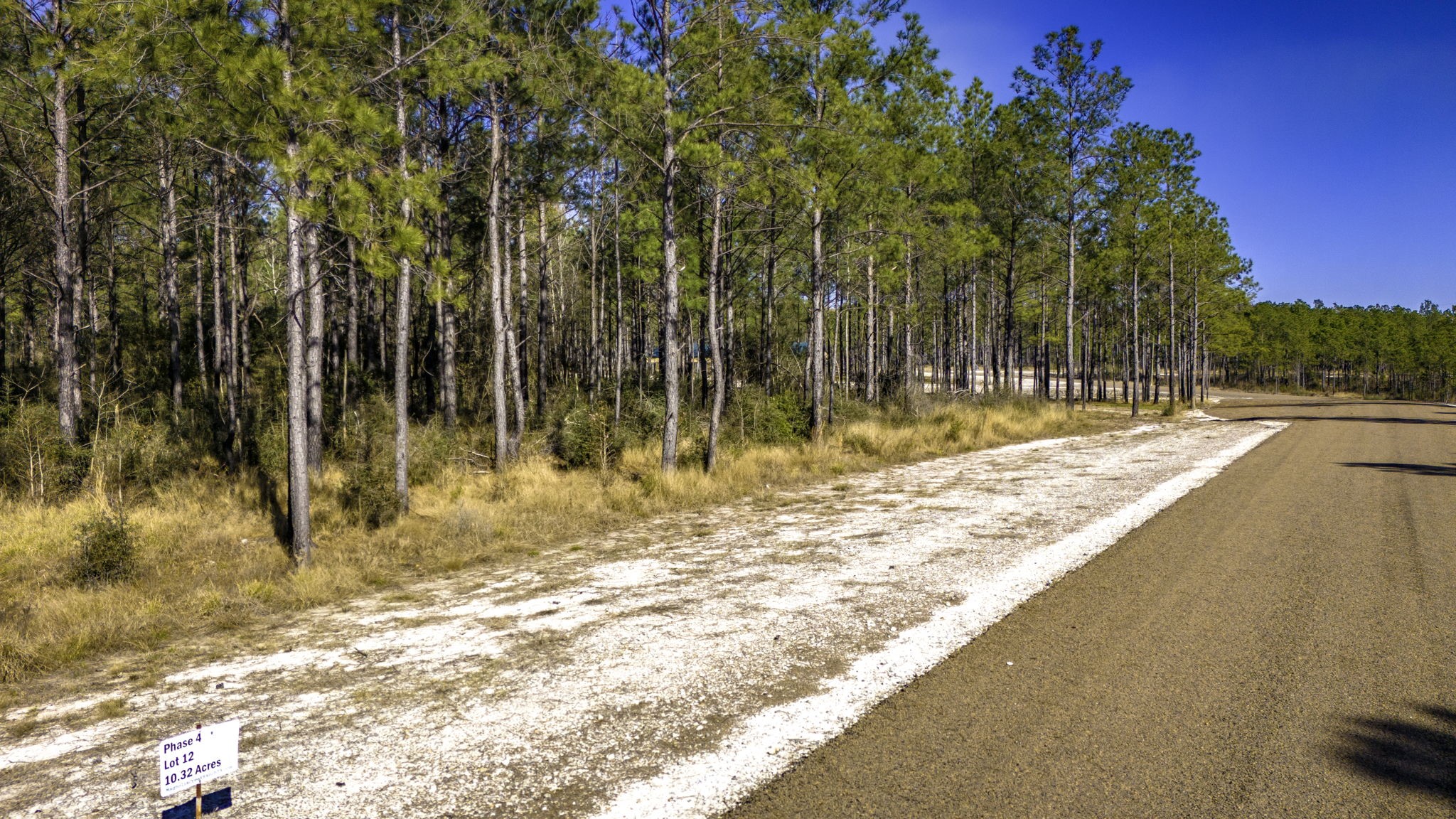 412 Tumbleweed Ranch Road Onalaska, TX 77360 - Photo 9 of 17