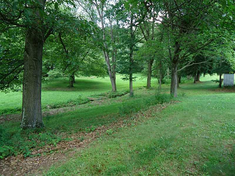 312 Elmbrook Road Beaver Falls, PA 15010 - Photo 23 of 24 Land/Lot. This is land behind the pond.