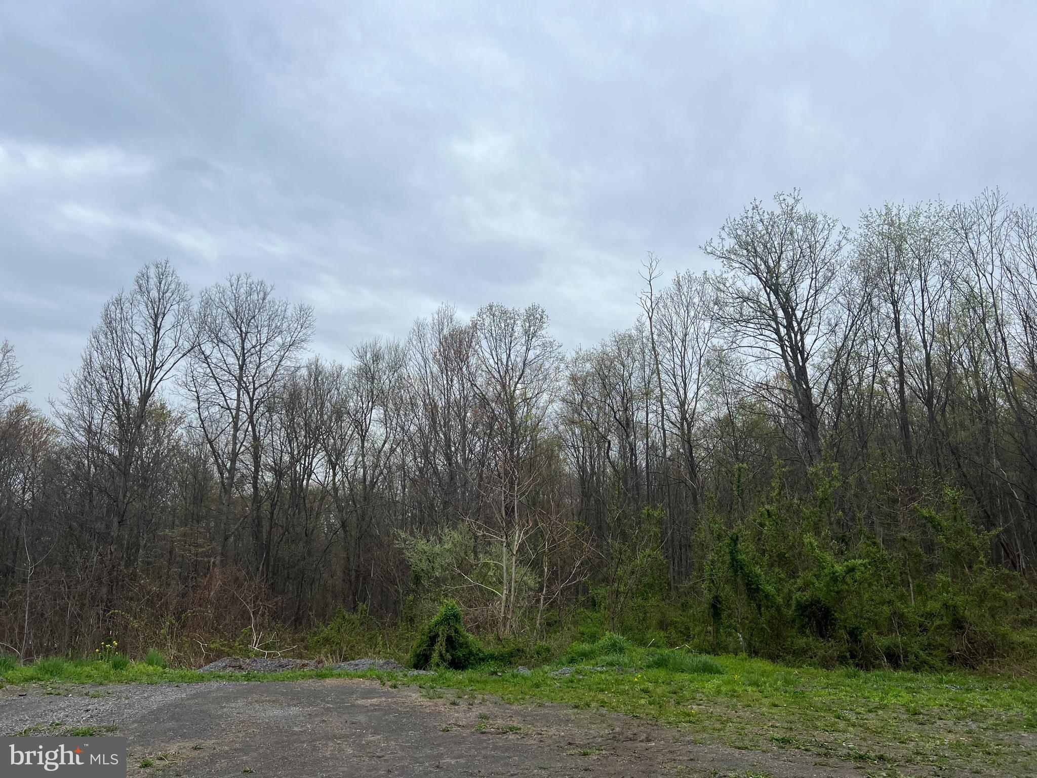 Lot #14 Ridge Way Drive Everett, PA 15537 - Photo 3 of 4 a view of a yard with a tree in the background
