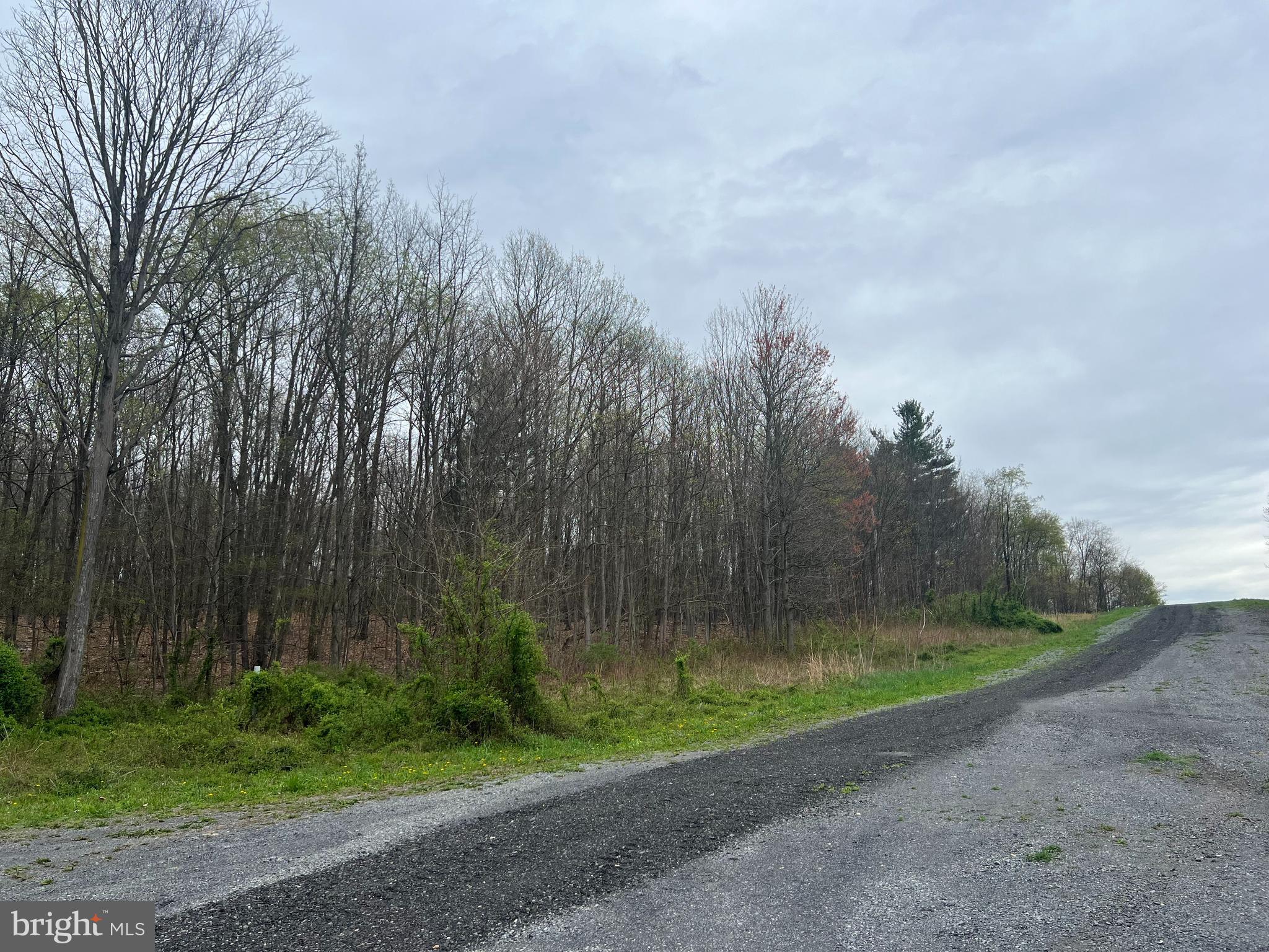 Lot #14 Ridge Way Drive Everett, PA 15537 - Photo 4 of 4 a view of a park