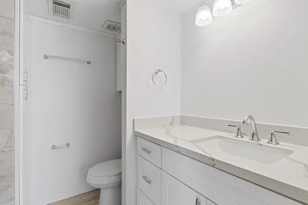 a bathroom with a sink toilet and vanity