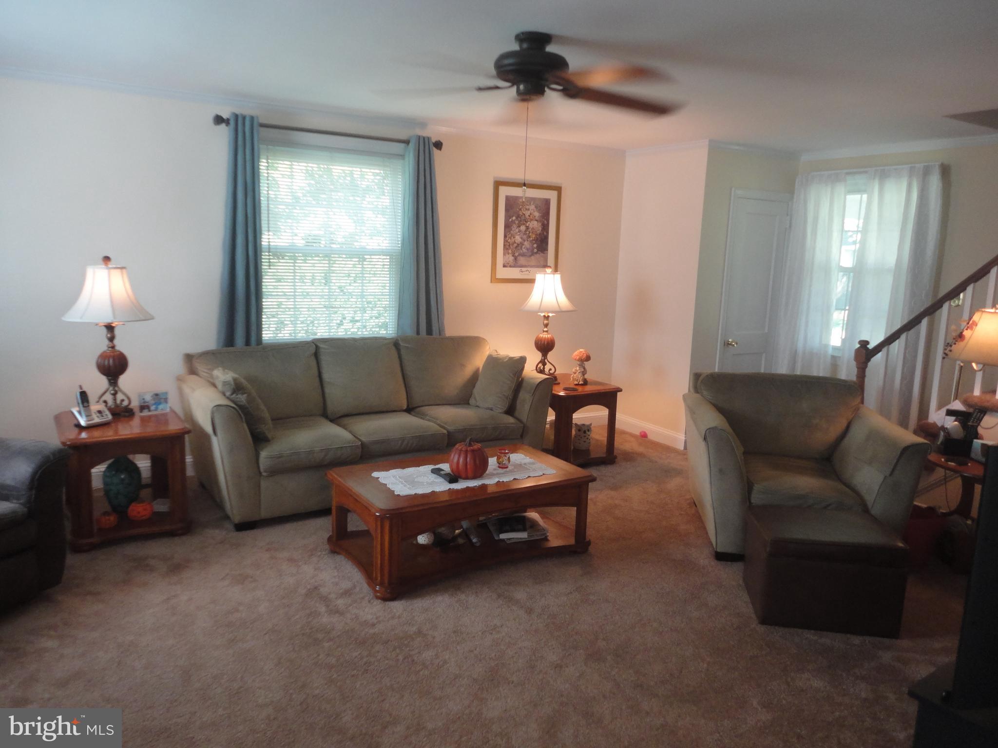 115 West Avenue Springfield, PA 19064 - Photo 4 of 34 living room