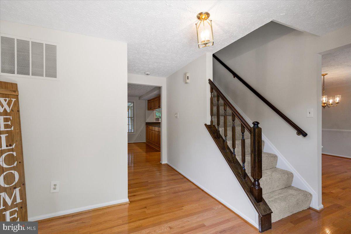7805 Roundabout Way Springfield, VA 22153 - Photo 2 of 45