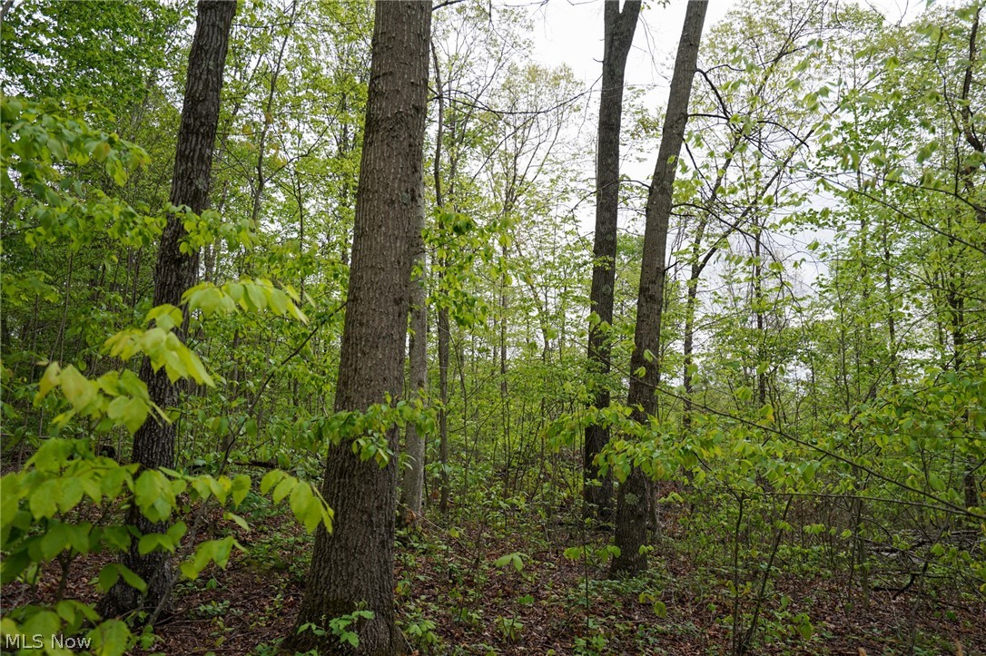 Hill Road Stockport, OH 43787 - Photo 28 of 40