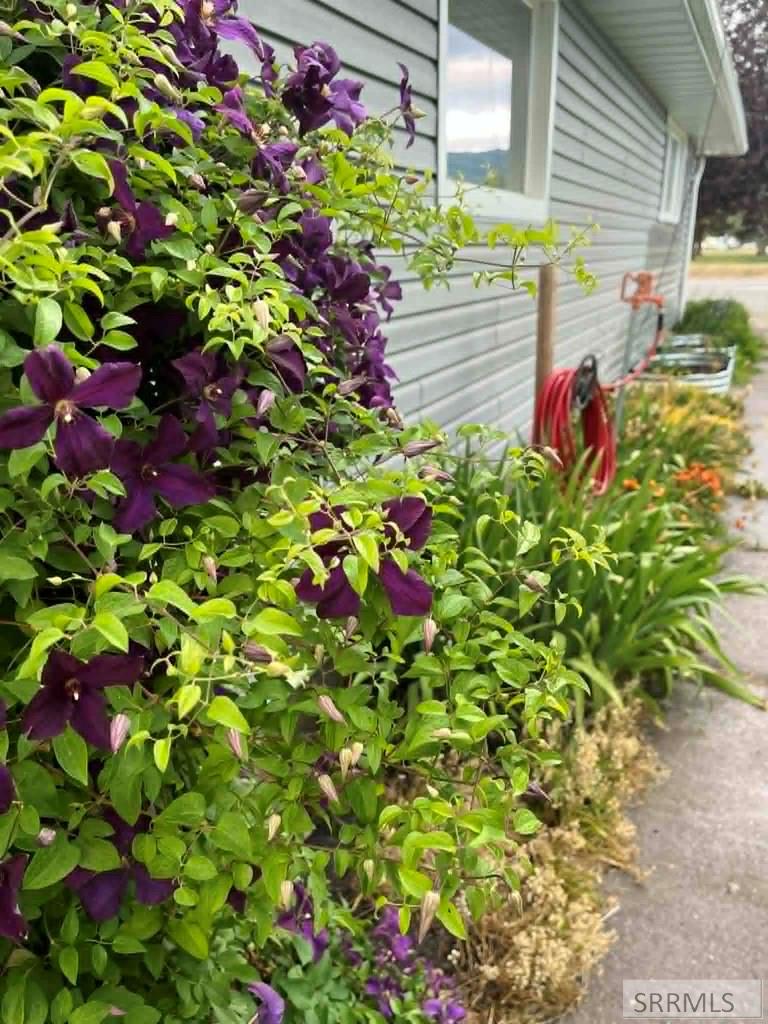906 South Main Street Grace, ID 83241 - Photo 10 of 36