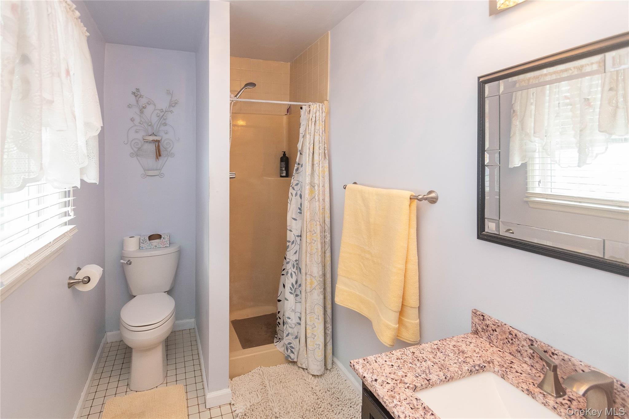 503 Chestnut Ridge Road Dover Plains, NY 12522 - Photo 23 of 41 a bathroom with a granite countertop sink a toilet and shower