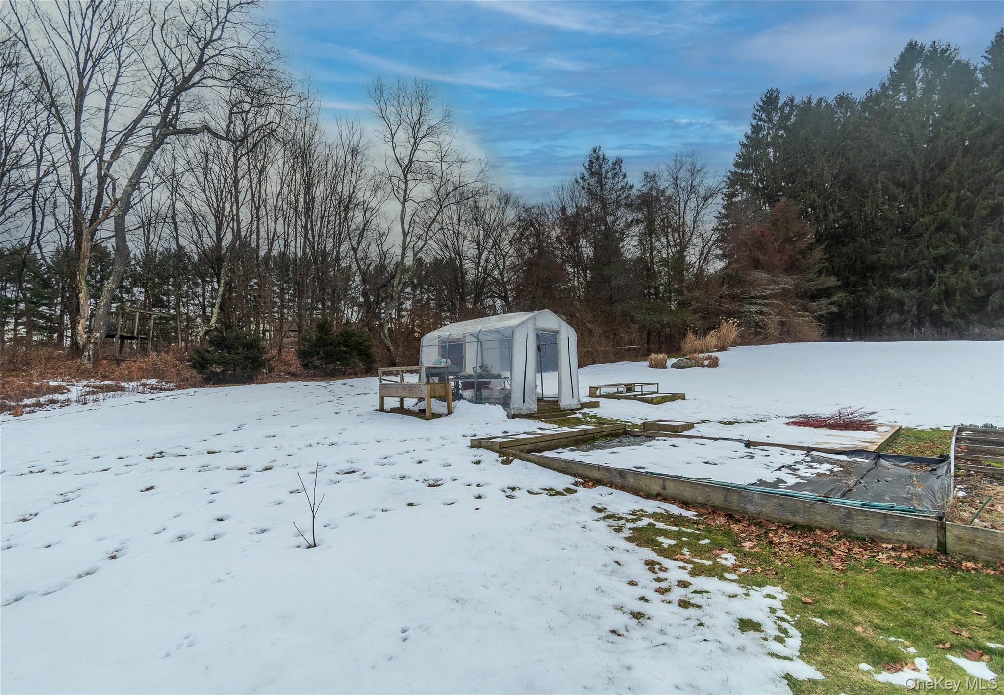 503 Chestnut Ridge Road Dover Plains, NY 12522 - Photo 30 of 41 a view of a dry yard with trees