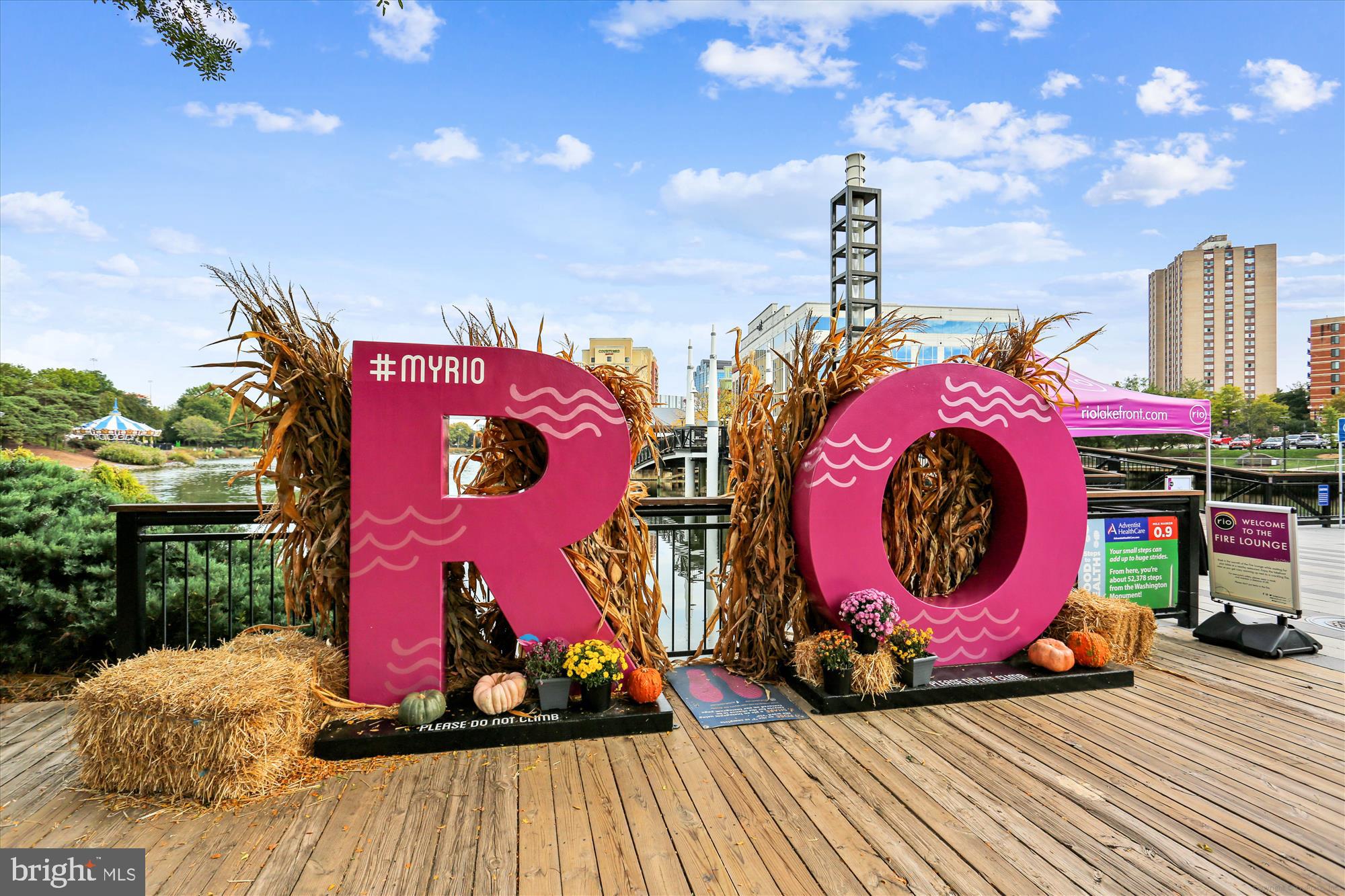 232 Kepler Drive Gaithersburg, MD 20878 - Photo 39 of 44 Rio