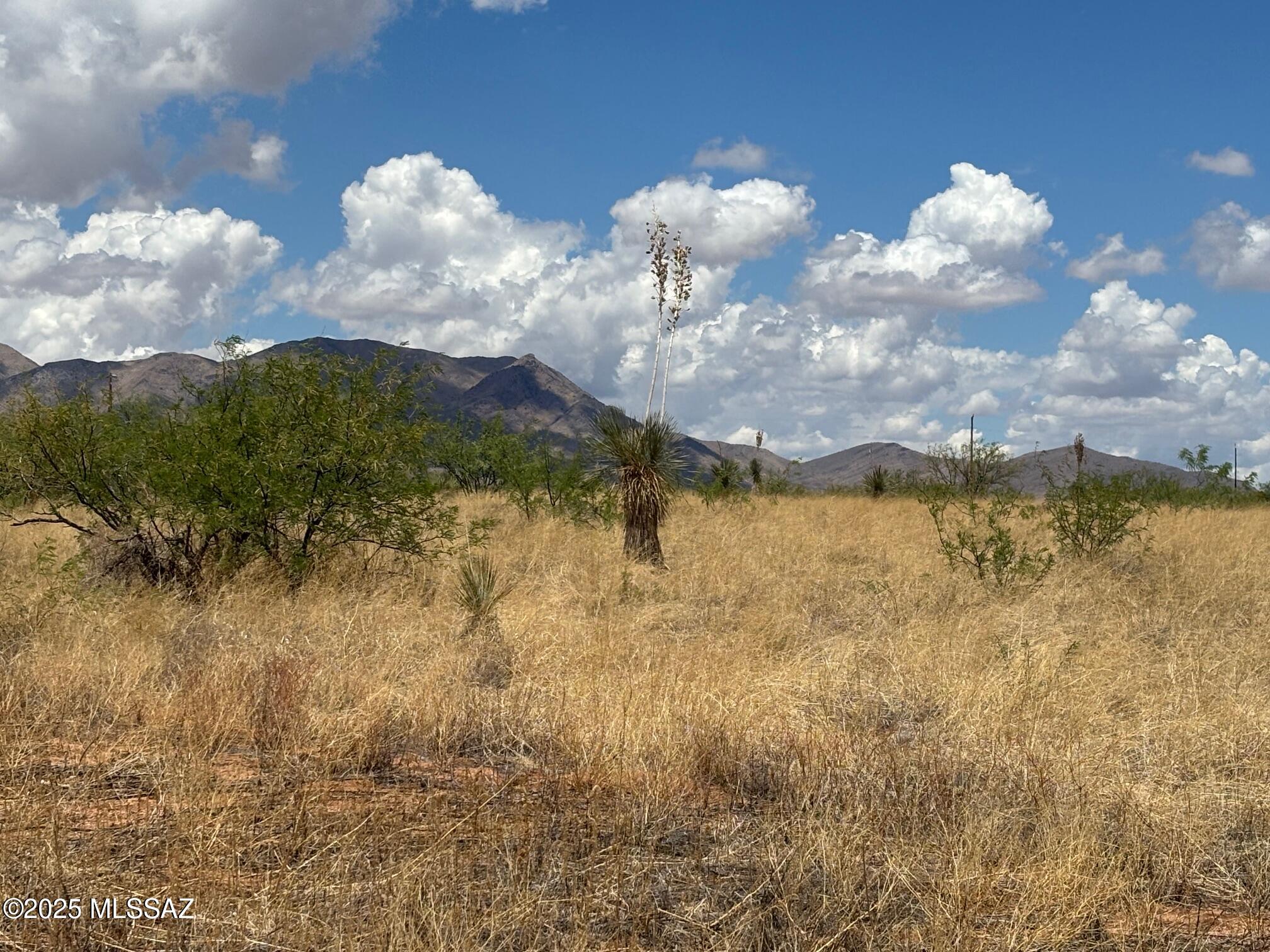 Tbd North Tbd N Central Road, Unit 9/10 Pearce, AZ 85625 - Photo 7 of 7