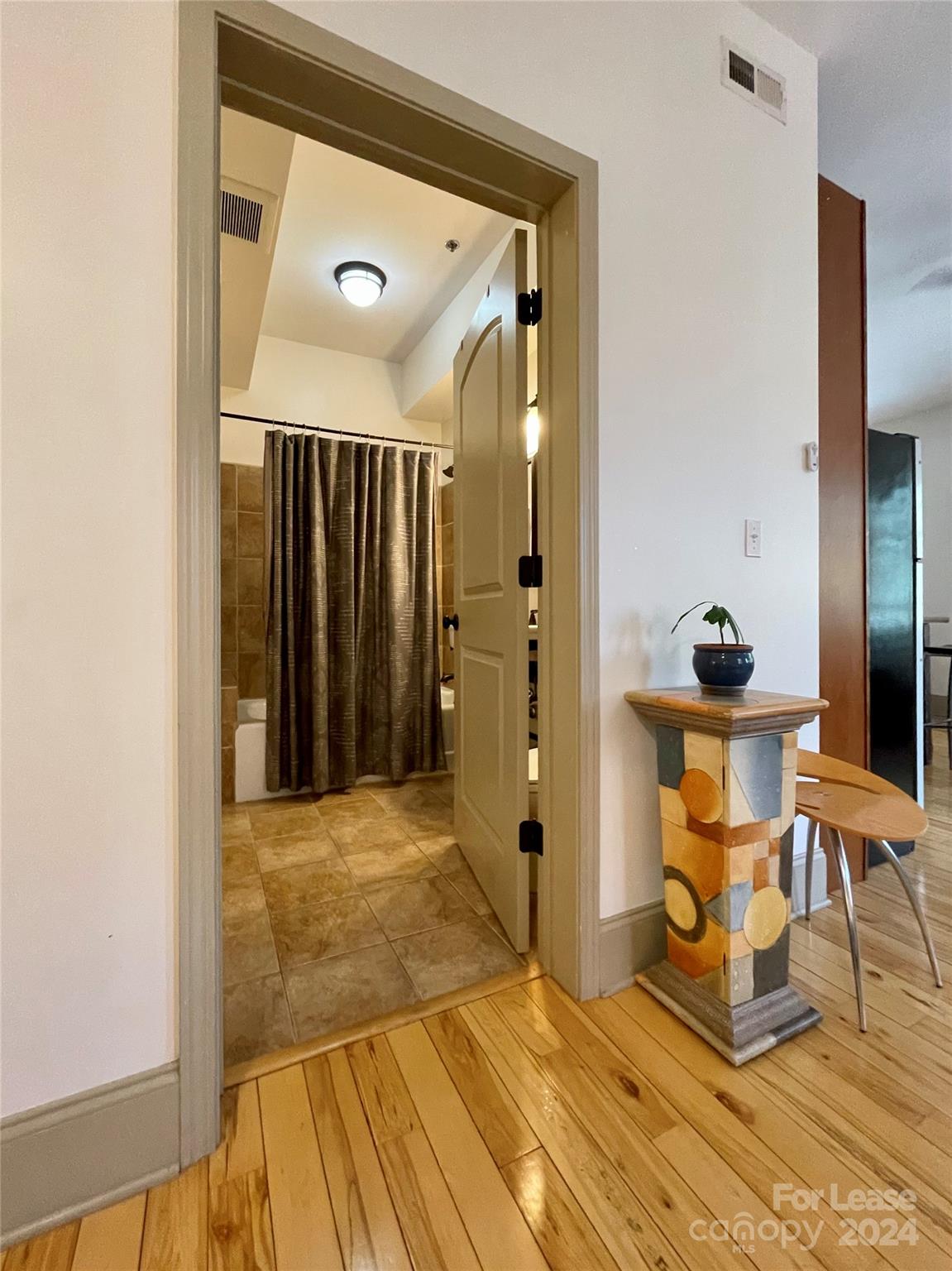 5 West Walnut Street, Unit 201 Asheville, NC 28801 - Photo 17 of 23