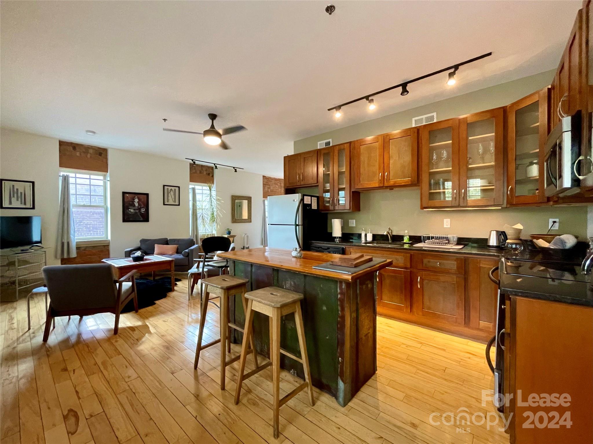 5 West Walnut Street, Unit 201 Asheville, NC 28801 - Photo 5 of 23