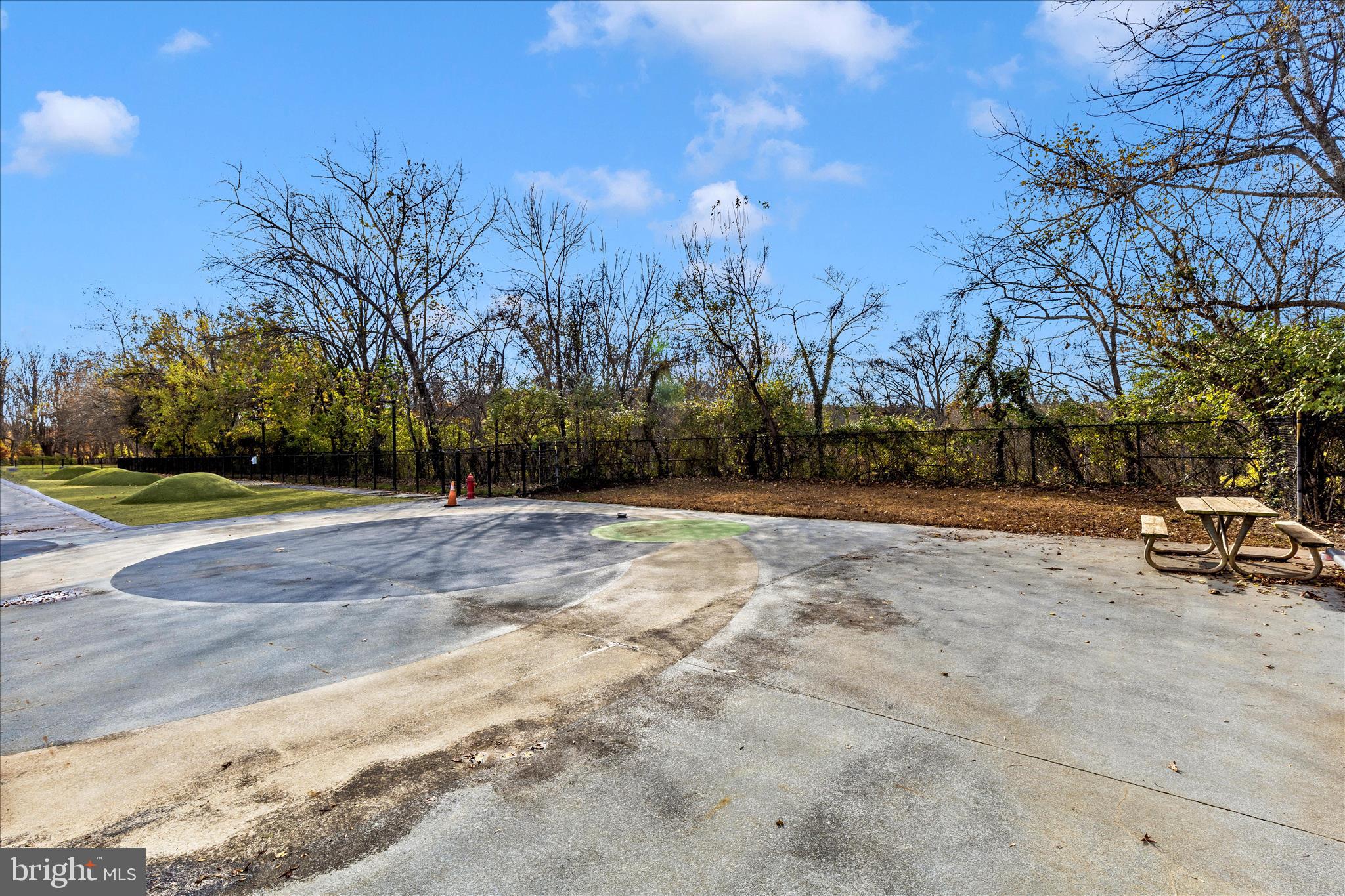 4410 Fernhill Road Silver Spring, MD 20906 - Photo 45 of 49 a view of outdoor space with trees