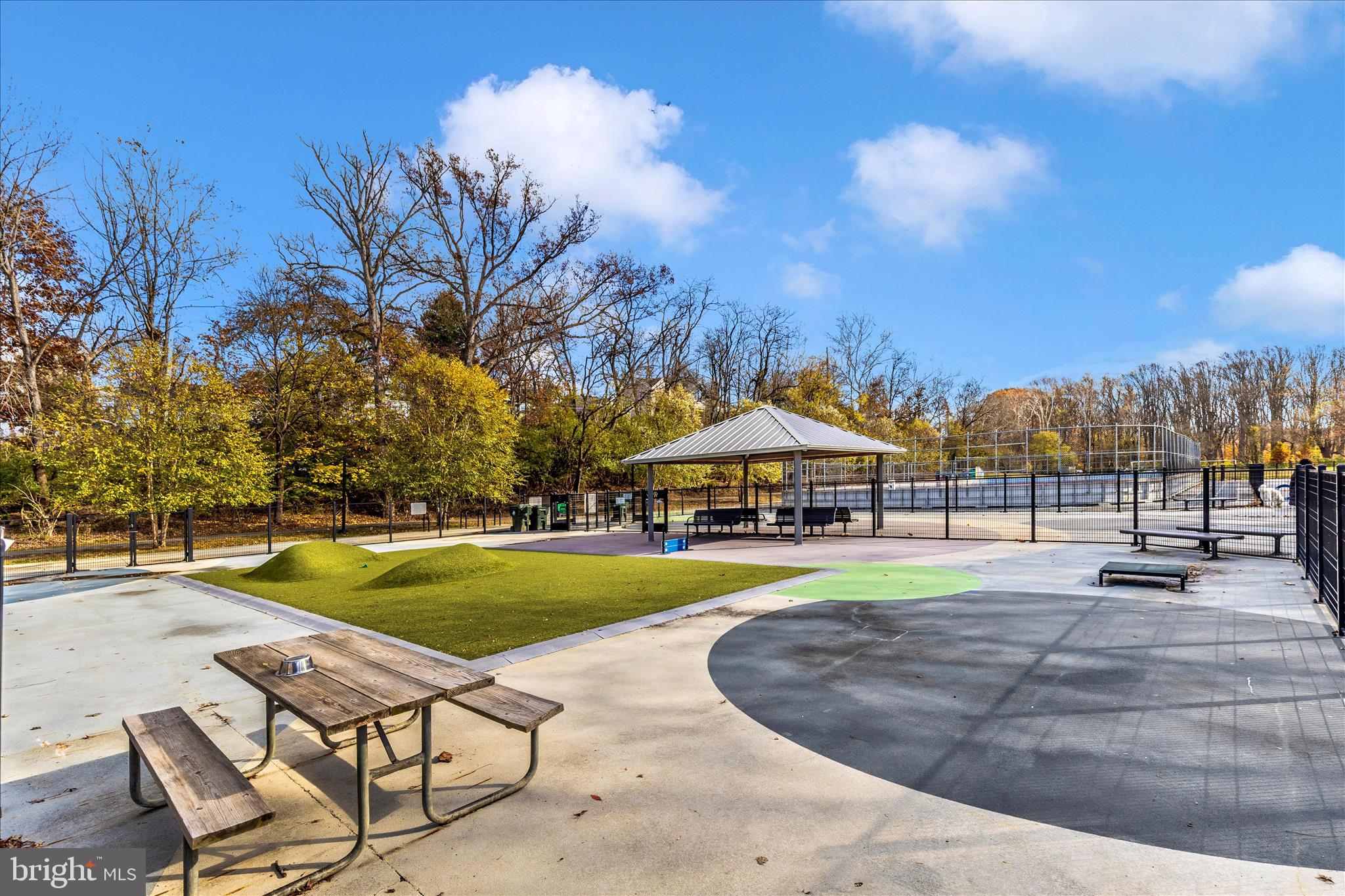 4410 Fernhill Road Silver Spring, MD 20906 - Photo 46 of 49 a view of a swimming pool and trees in the background