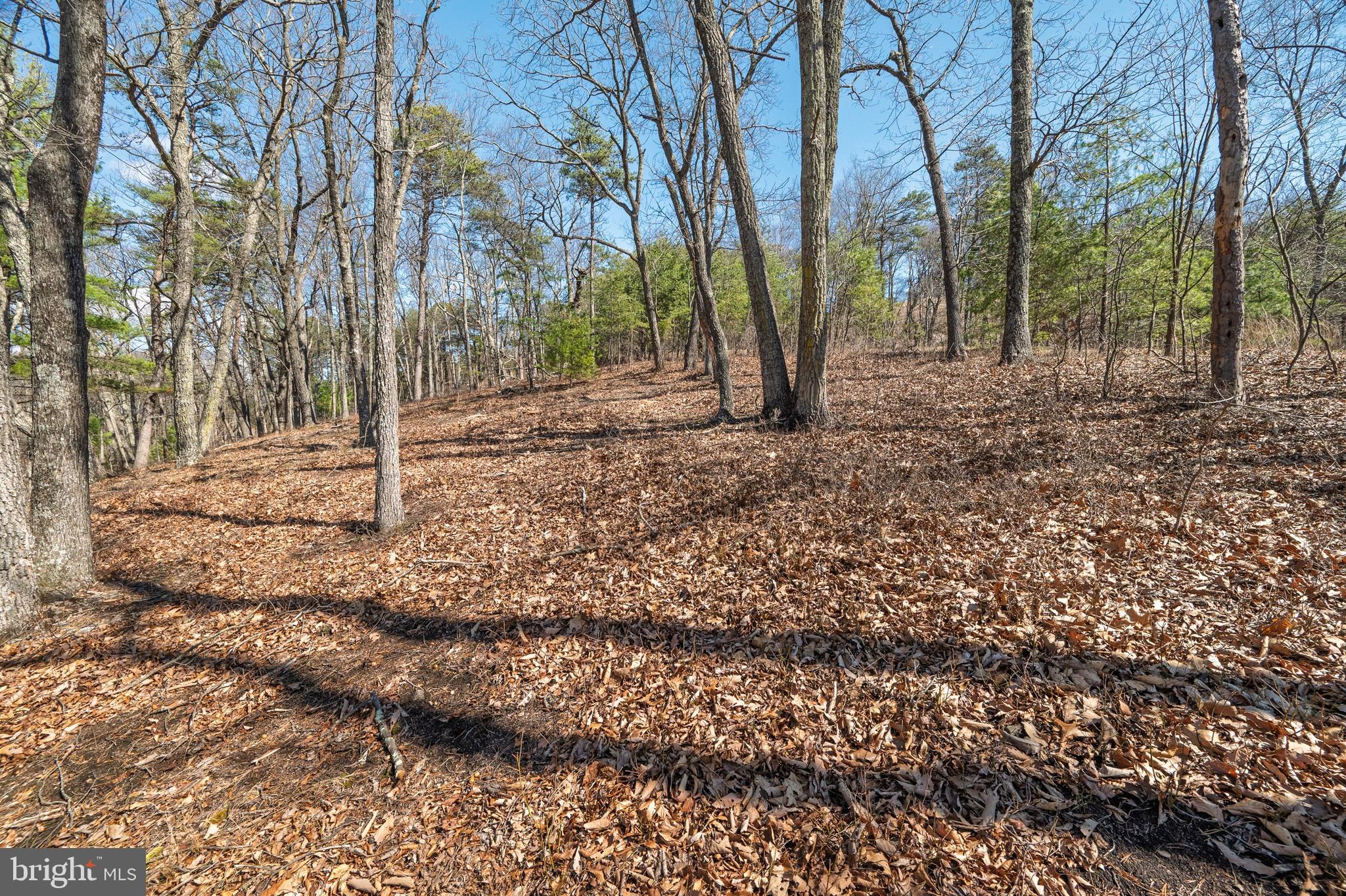 Hunters Ridge Trail Milam, WV 26838 - Photo 16 of 32