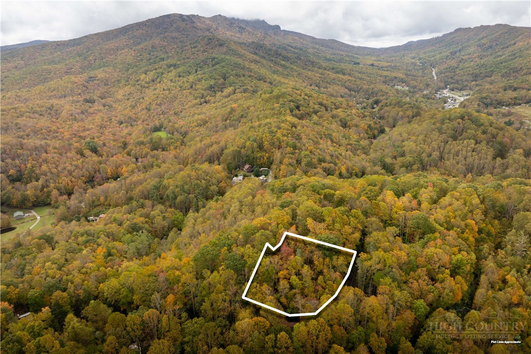 265 Leatherwood Road Banner Elk, NC 28604 - Photo 38 of 42