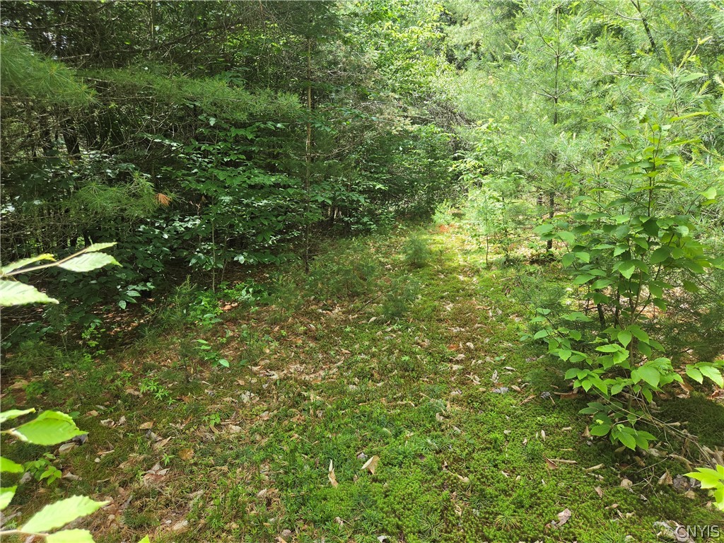 River Road Port Leyden, NY 13433 - Photo 7 of 12