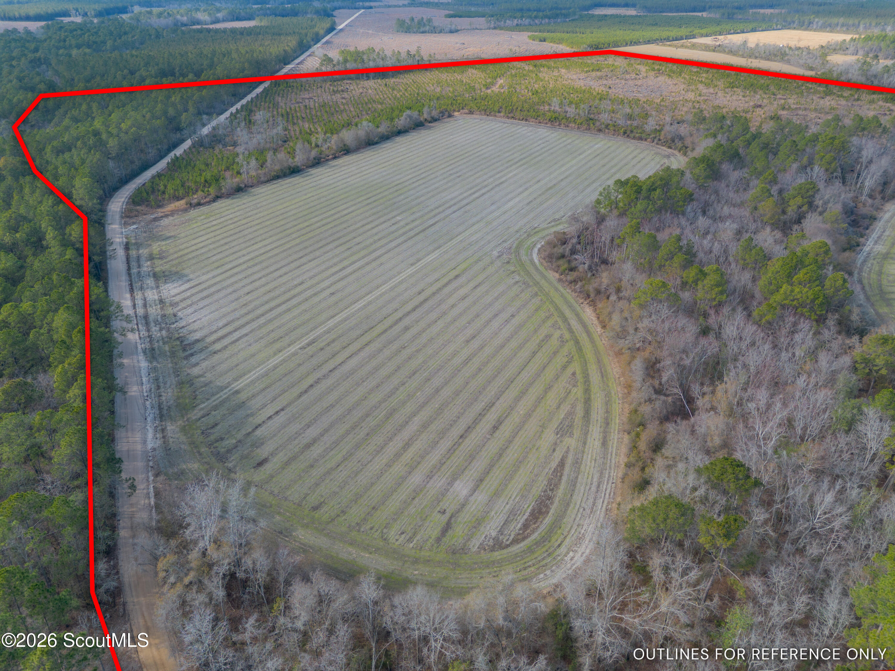 0 Reddish Road Odum, GA 31555 - Photo 11 of 46 230-AC-REDDISH-ODUM-10