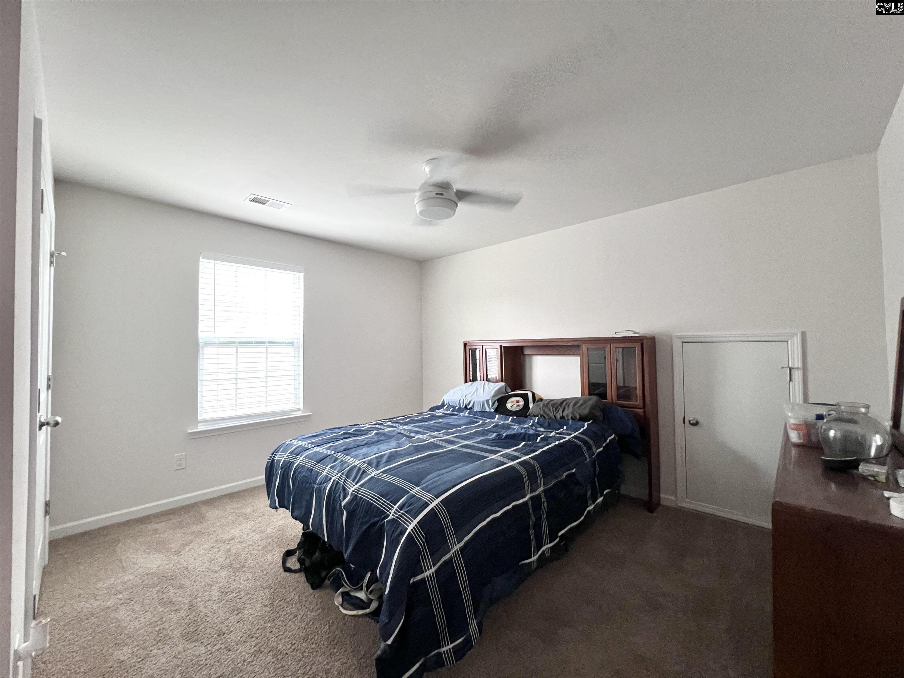 819 Trident Maple Lane Chapin, SC 29036 - Photo 42 of 46
