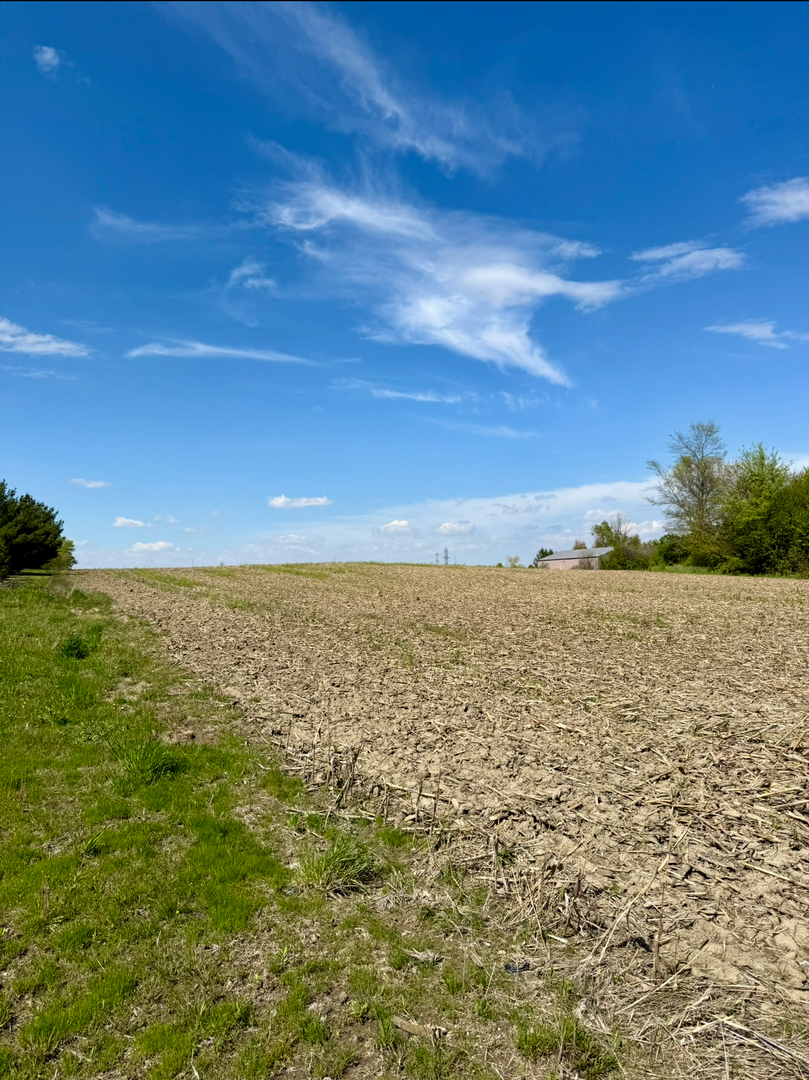 6835 West Stuenkel Road Monee, IL 60449 - Photo 6 of 11 a view of a lake view