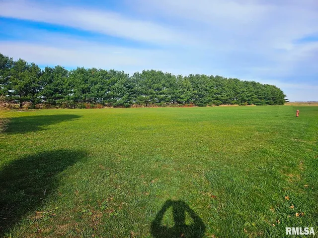 $16,000 | 2-4 Barton Street, Modesto, IL 62667