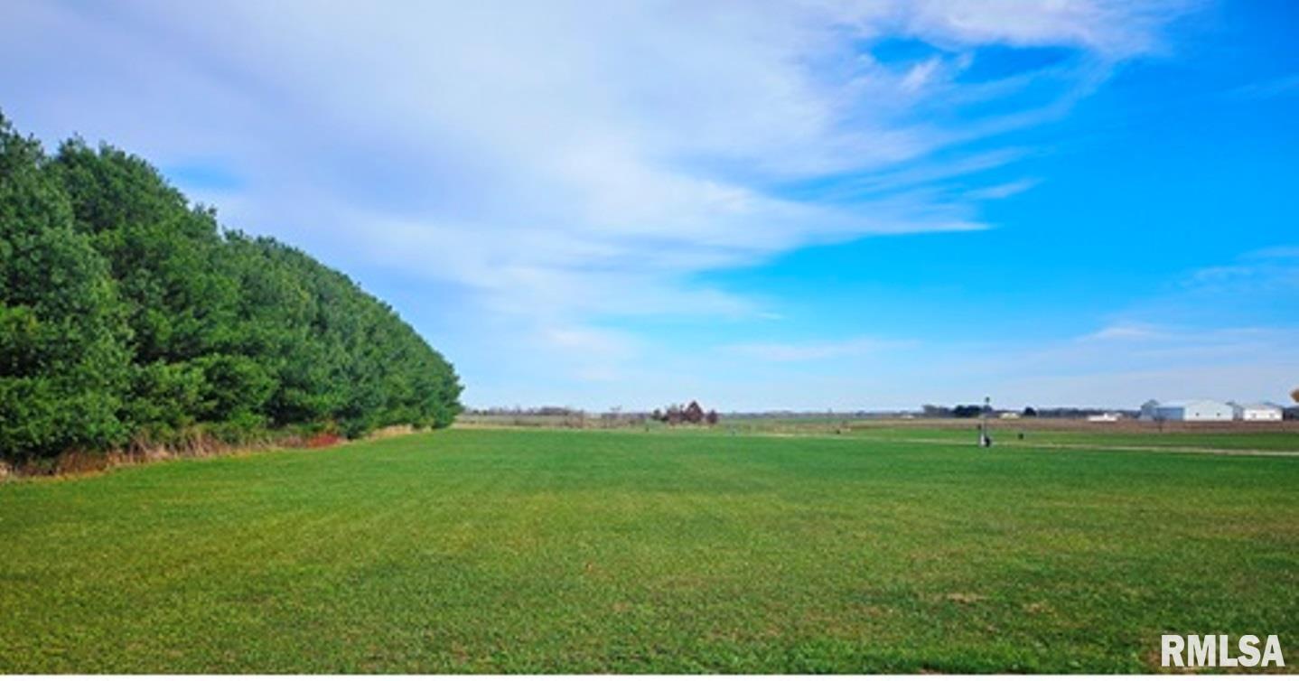 2-4 Barton Street Modesto, IL 62667 - Photo 6 of 6