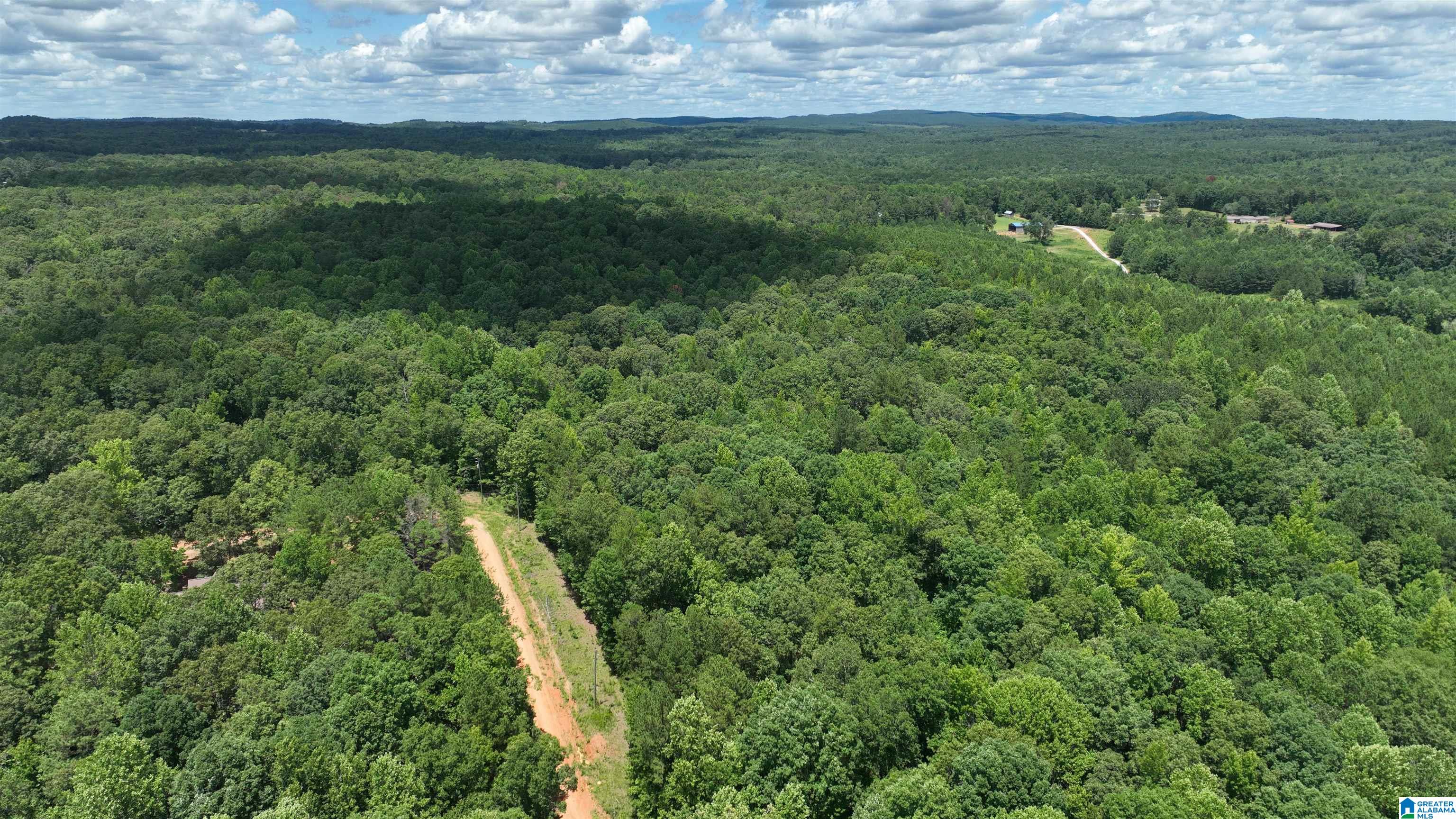 0 Pinetucky Lane, Unit 8 Heflin, AL 36264 - Photo 5 of 17