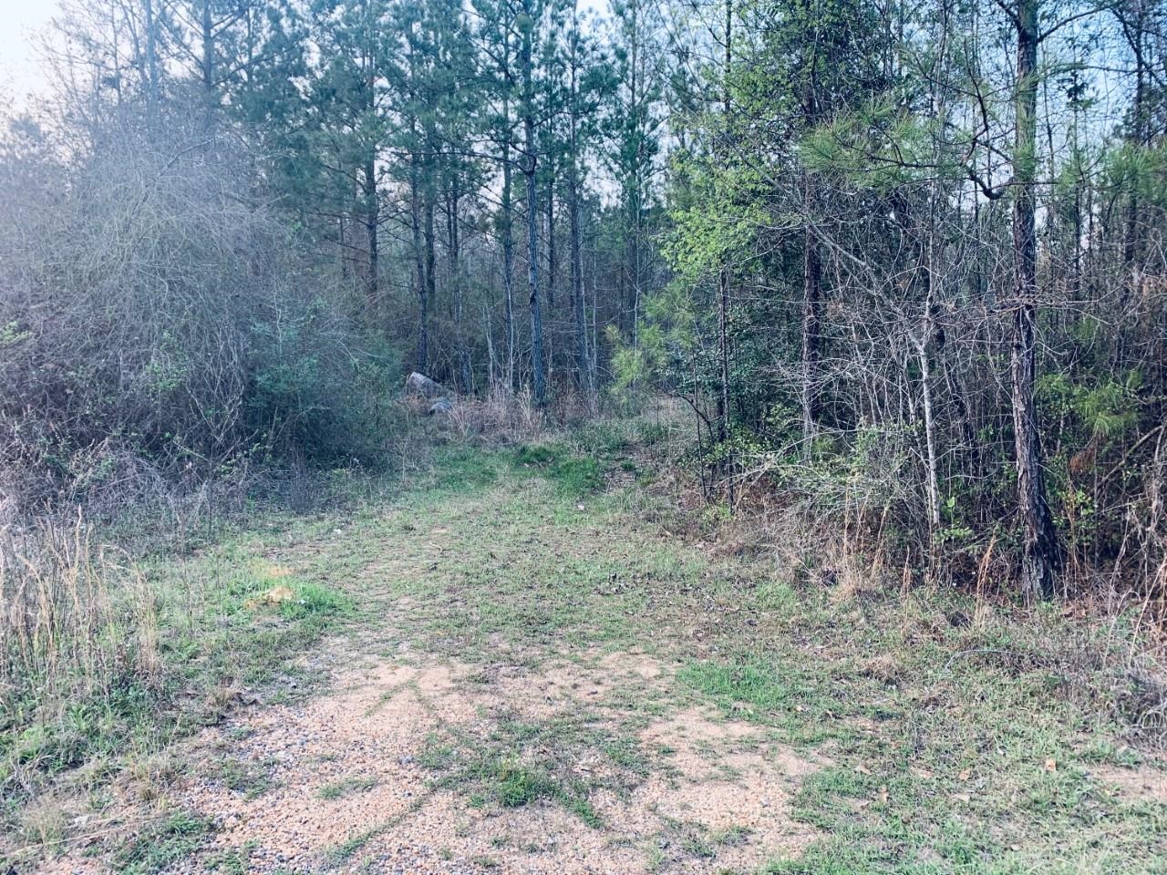 23180 Lonnie Hadley Road Perdido, AL 36562 - Photo 9 of 11