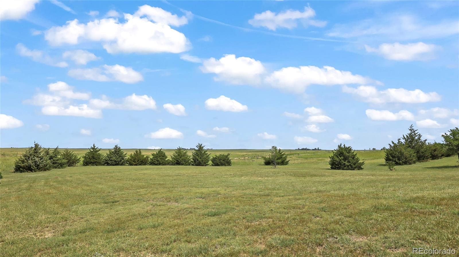 48984 County Road Akron, CO 80720 - Photo 32 of 35 a view of a big yard with lots of green space