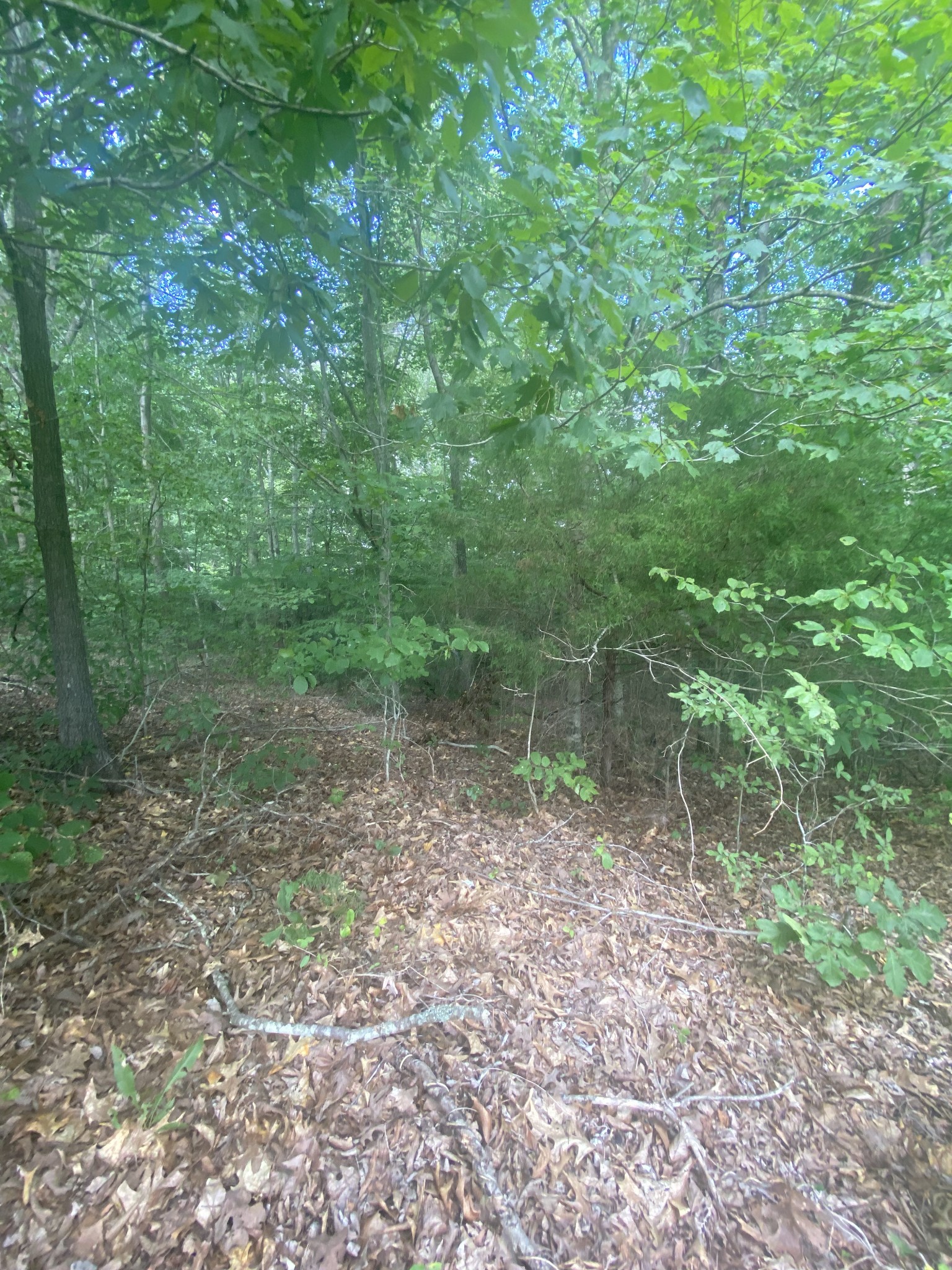 124 Little Pond Road Big Rock, TN 37023 - Photo 15 of 16 Gallery Image 15