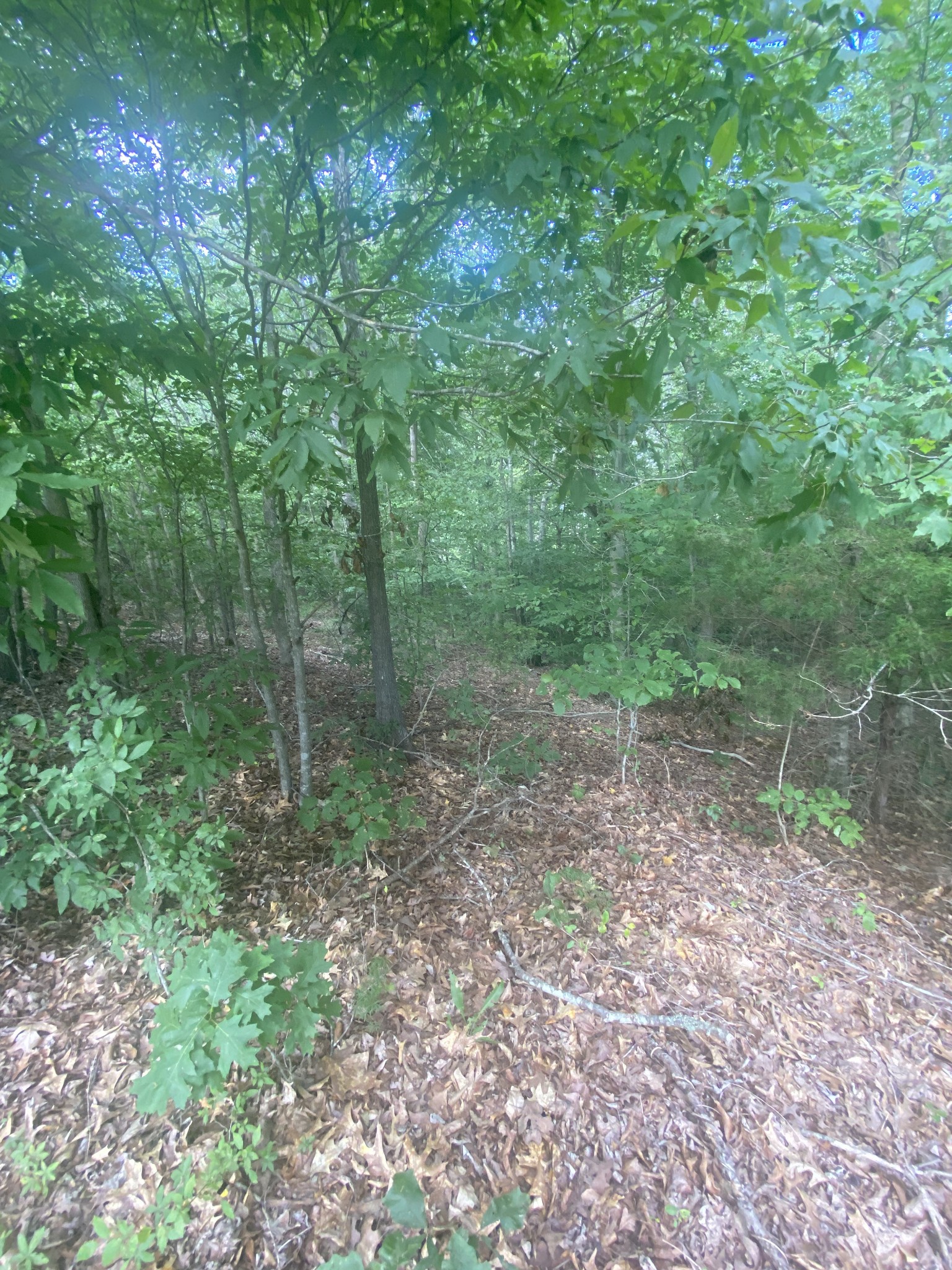 124 Little Pond Road Big Rock, TN 37023 - Photo 16 of 16 Gallery Image 16