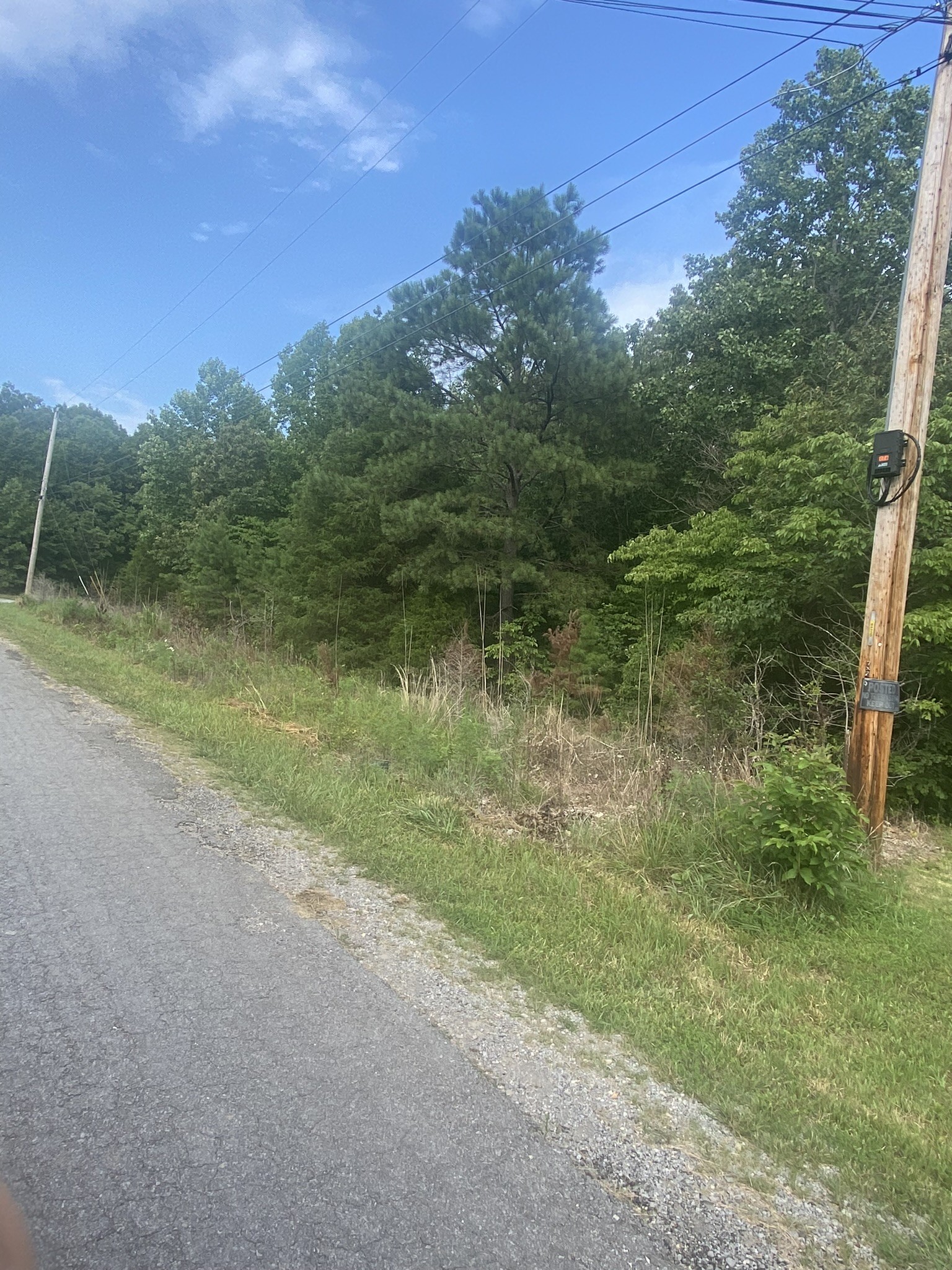 124 Little Pond Road Big Rock, TN 37023 - Photo 2 of 16 Gallery Image 2
