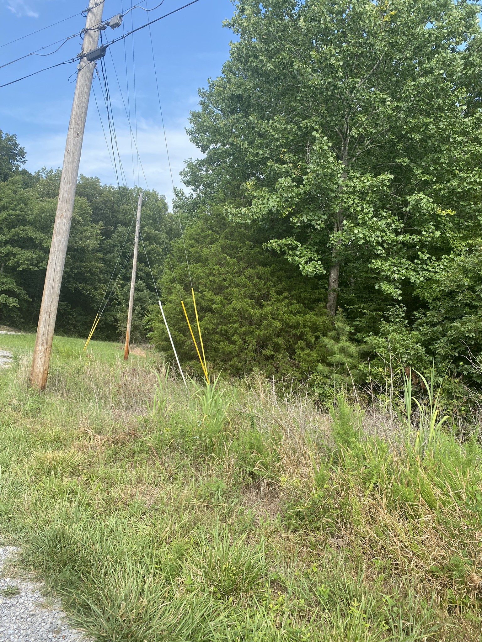 124 Little Pond Road Big Rock, TN 37023 - Photo 3 of 16 Gallery Image 3