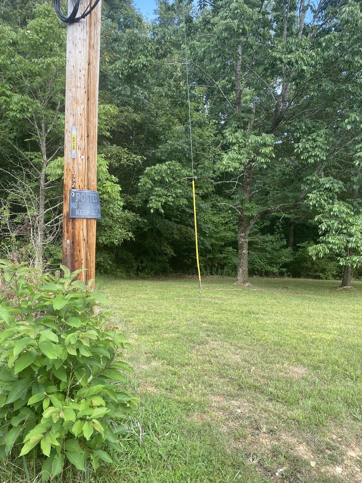 124 Little Pond Road Big Rock, TN 37023 - Photo 7 of 16 Gallery Image 7