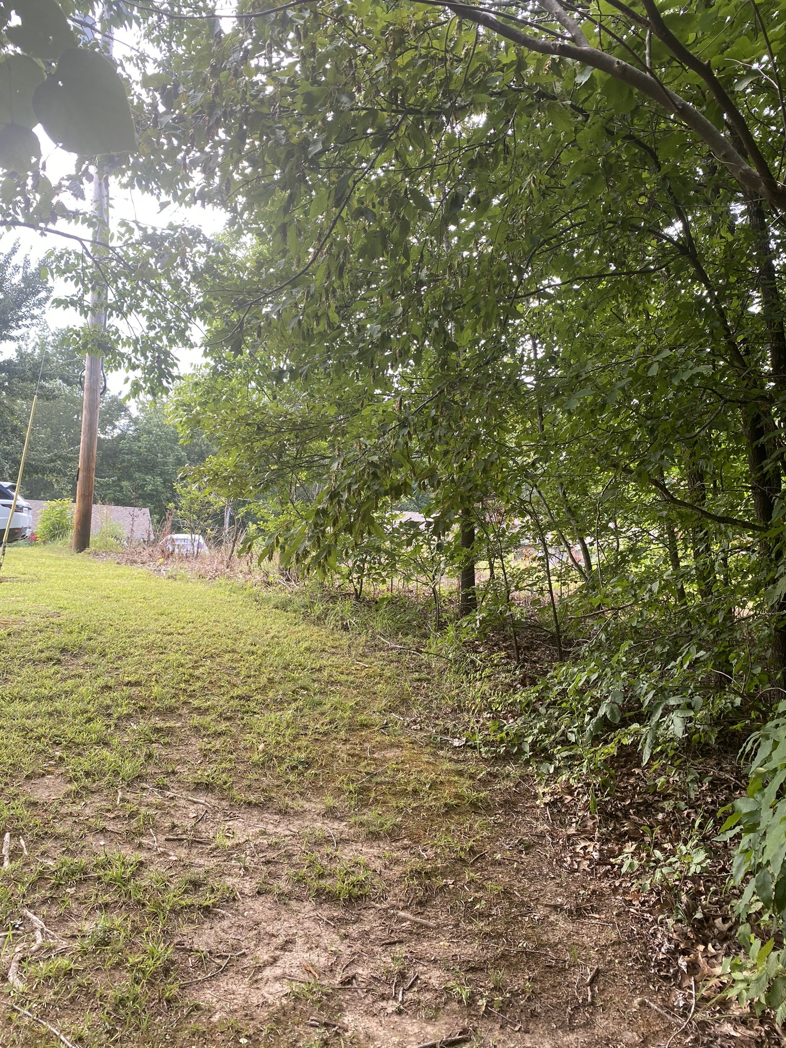 124 Little Pond Road Big Rock, TN 37023 - Photo 8 of 16 Gallery Image 8