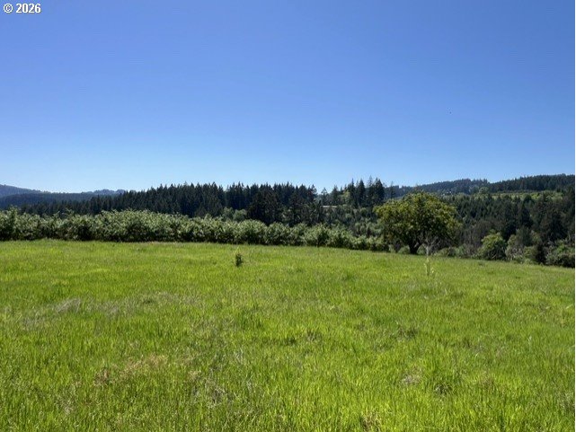 32784 Southwest Laurelview Road Hillsboro, OR 97123 - Photo 24 of 43