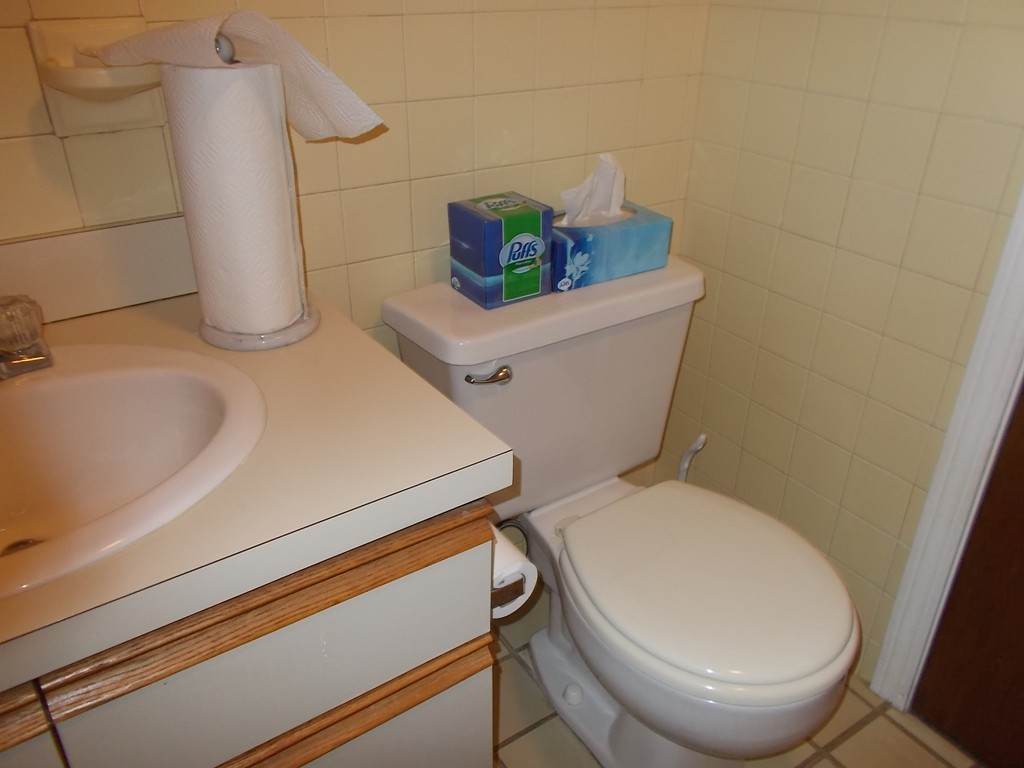 29 Victoria Heights Road, Unit 29 Boston, MA 02136 - Photo 7 of 16 Gallery Image 7