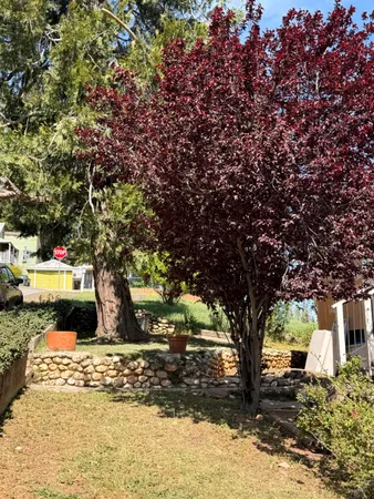 $345,000 | 33 Kneeland Street, Colfax, CA 95713