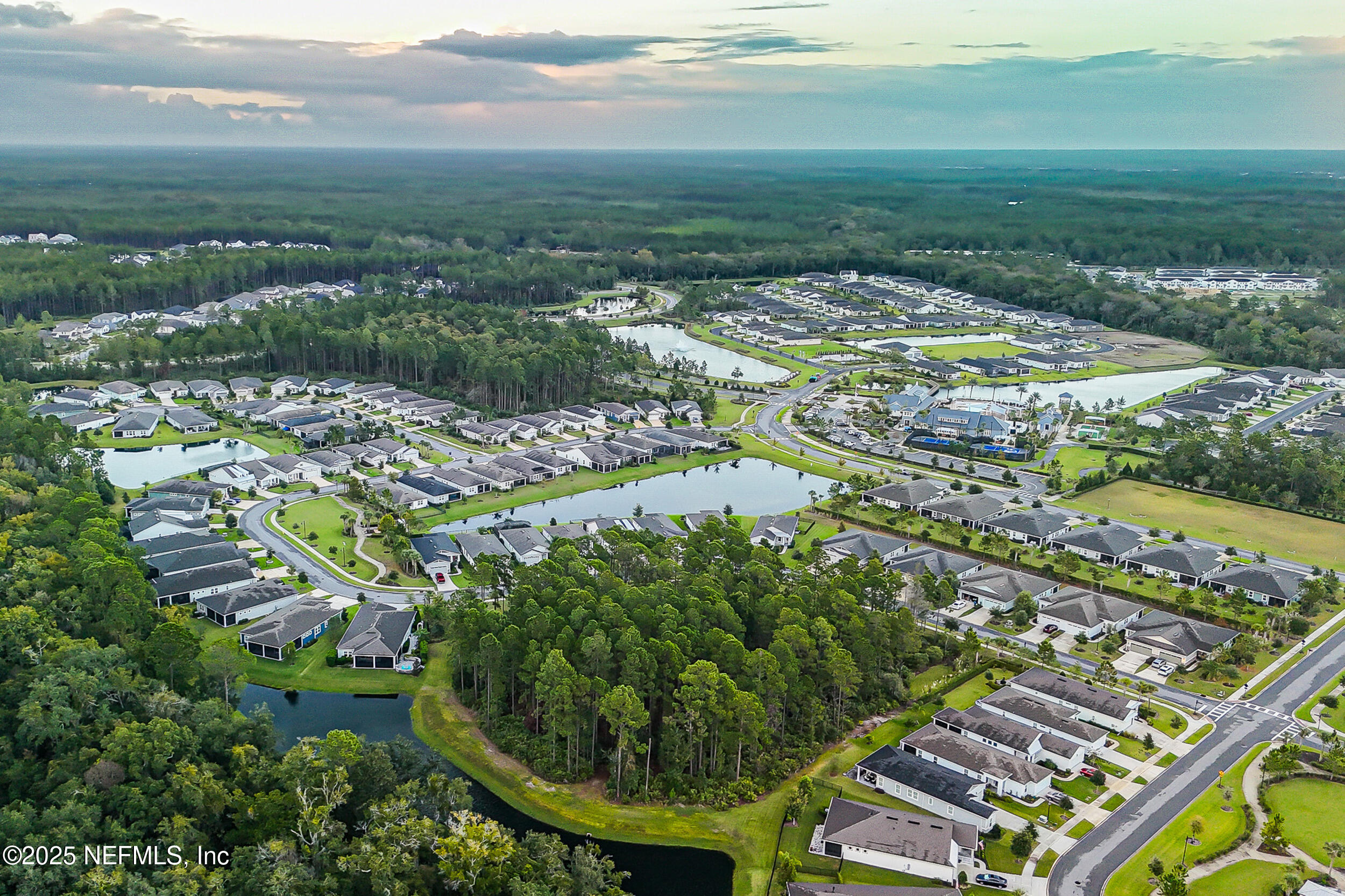 106 Key Grass Court St. Johns, FL 32259 - Photo 47 of 80 an aerial view of residential houses with outdoor space and trees