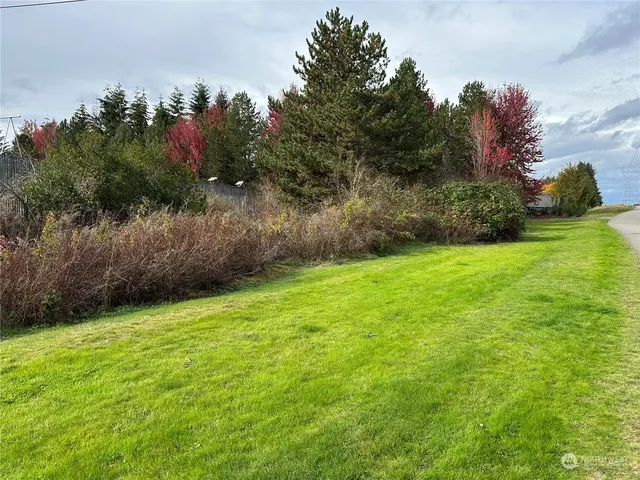 a view of a yard with a tree