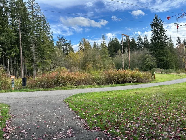 a view of a grassy field with trees in the background