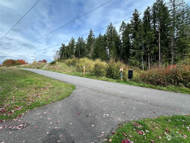 a view of a yard with potted plants and trees