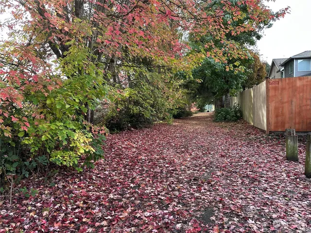 a view of a backyard with large trees