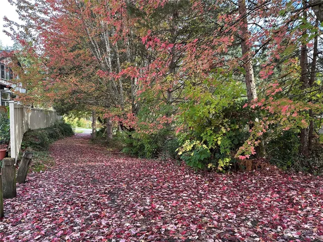 a view of a yard with plants and trees