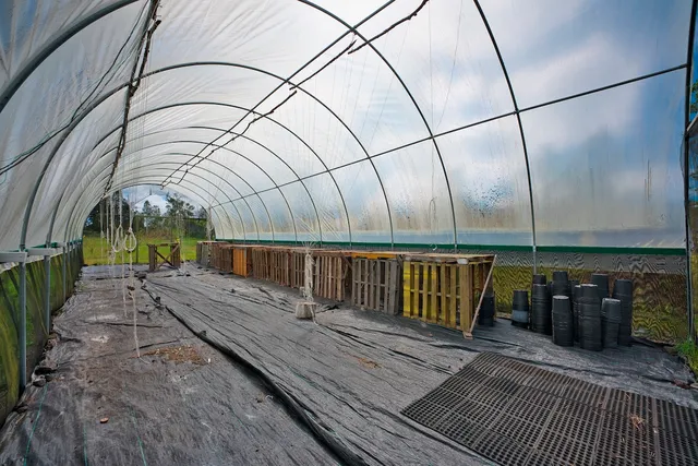 $133,000 | 11-1984 Ohialani Road, Mountain View, HI 96771