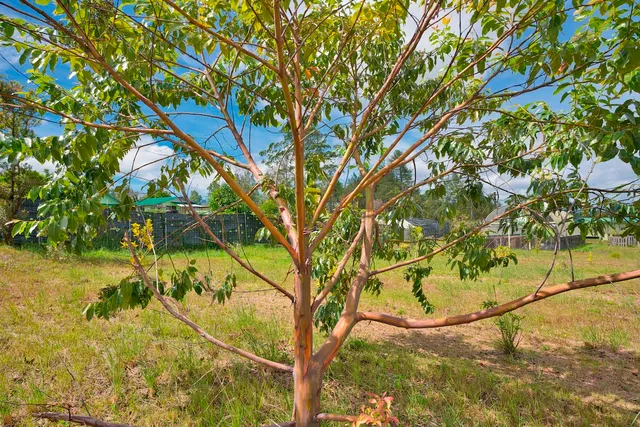 $133,000 | 11-1984 Ohialani Road, Mountain View, HI 96771