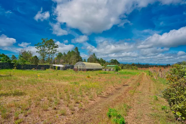 $133,000 | 11-1984 Ohialani Road, Mountain View, HI 96771