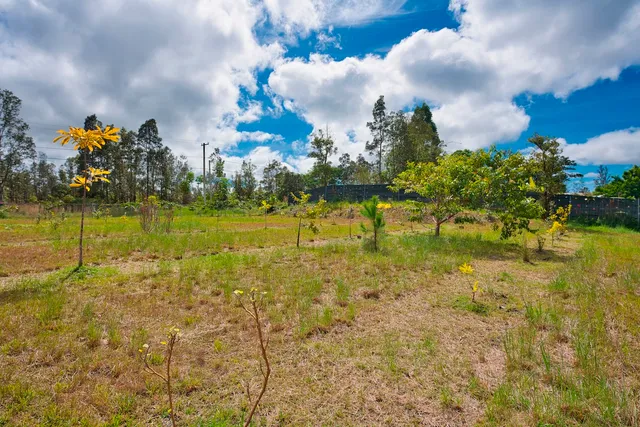 $133,000 | 11-1984 Ohialani Road, Mountain View, HI 96771