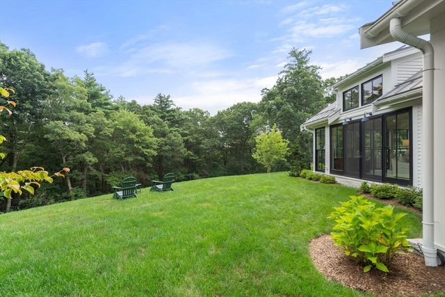a backyard of a house with plants and large trees