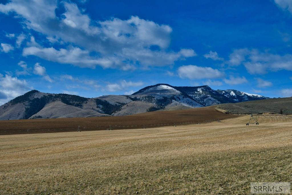 Nkn Williams Creek Road Salmon, ID 83467 - Photo 40 of 60
